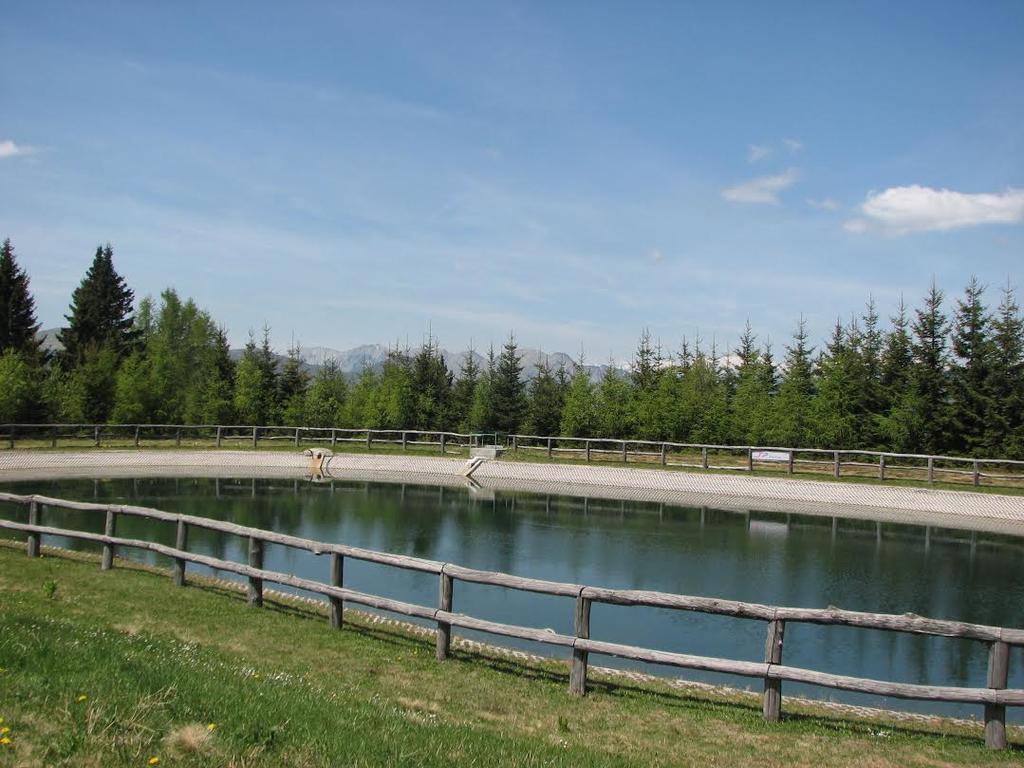 Apartmaji Srnca Cerkno Exterior foto